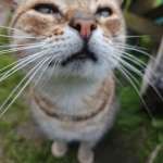 Сергей, 45 лет